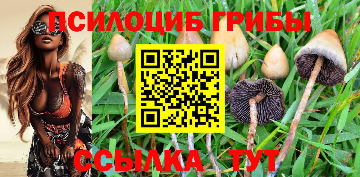 Лобня  Галлюциногенные грибы Psilocybe  купить наркоту  Вход с VPN 